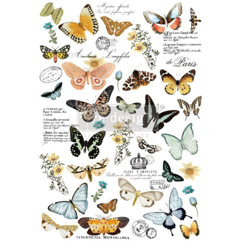 Butterfly Dance