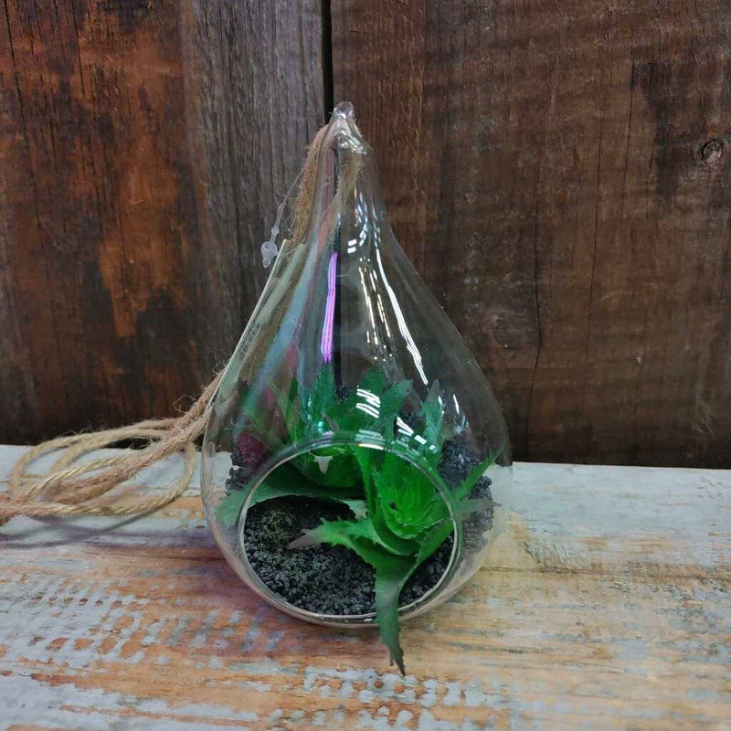 Succulents in Glass Teardrop