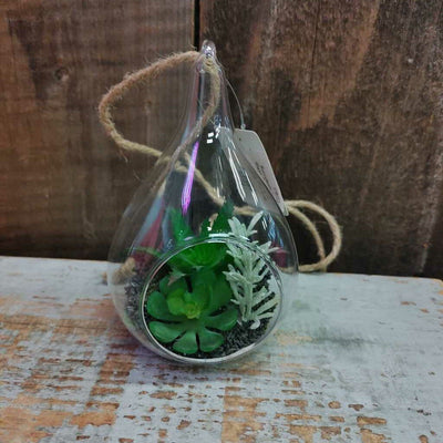 Succulents in Glass Teardrop