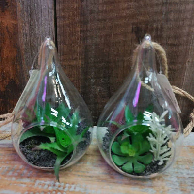 Succulents in Glass Teardrop