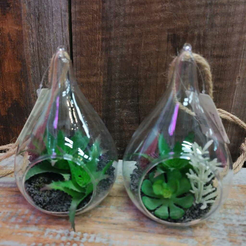 Succulents in Glass Teardrop