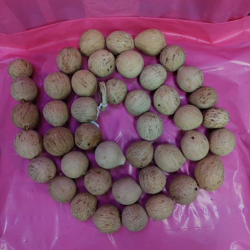 Dried Gourd Ball Garland