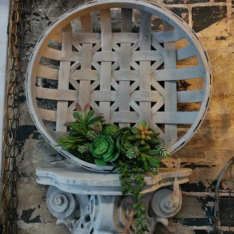 Tobacco Basket Succulents