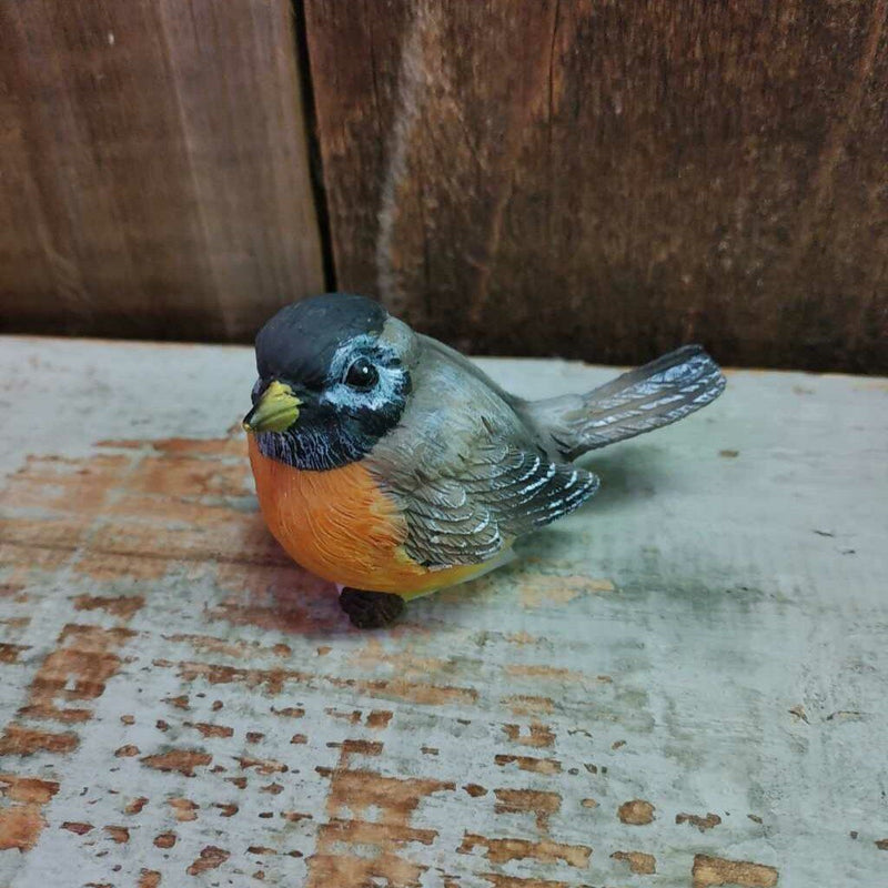 Small Robin