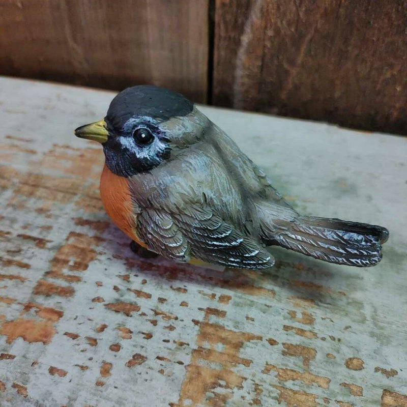 Small Robin