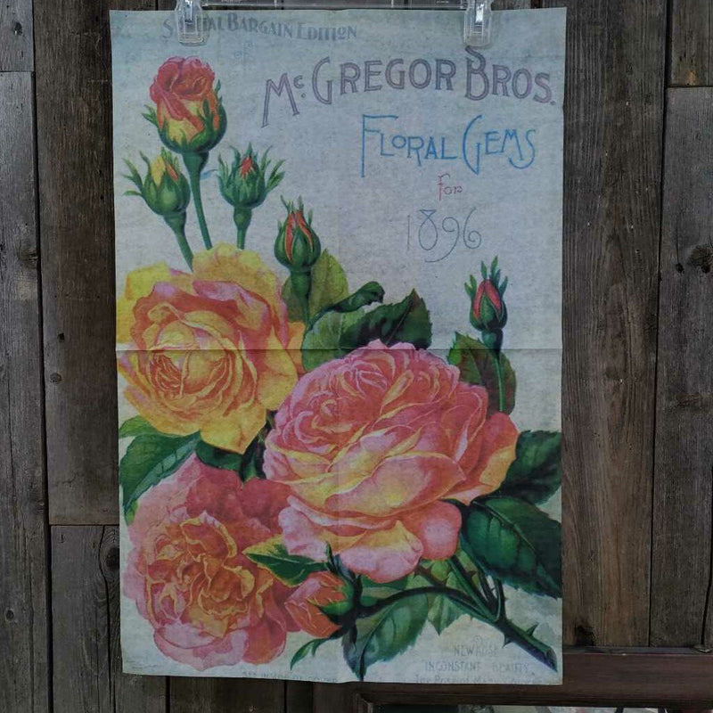 Floral Gems 1896