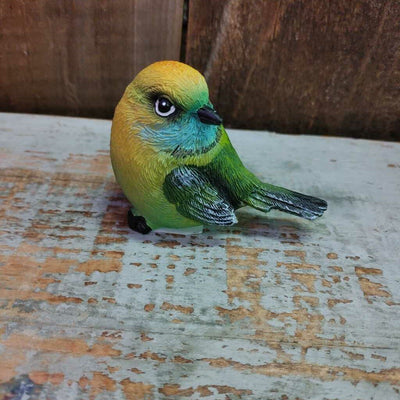 Green Yellow Bird