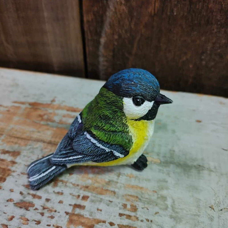 White Belly Bird
