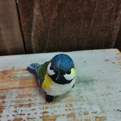 White Belly Bird