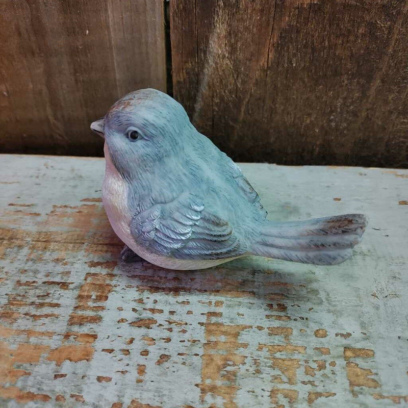 Soft Grey Bird