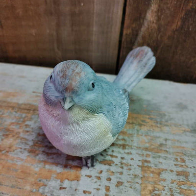 Soft Grey Bird