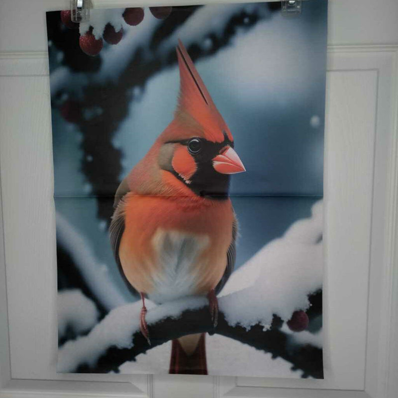 Winter Cardinal