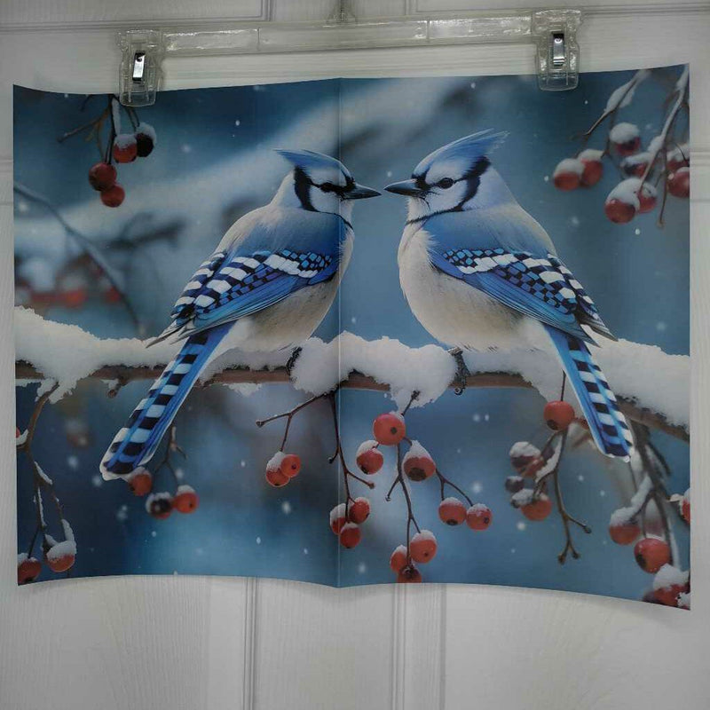 Winter Blue Jays