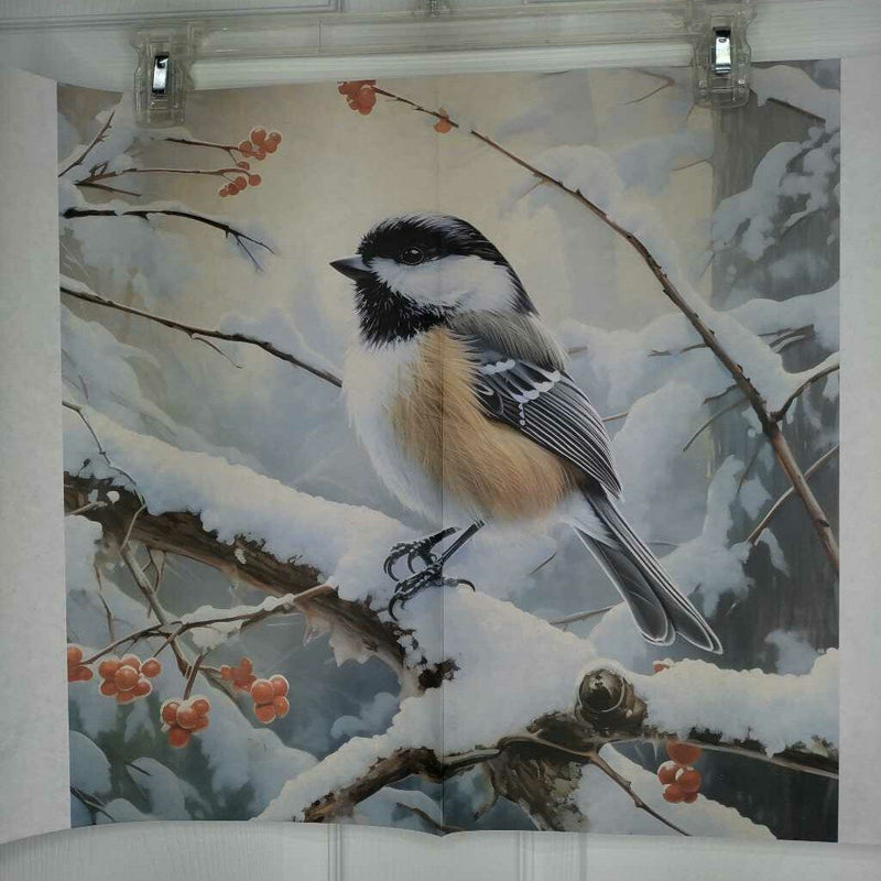 Winter Chickadee