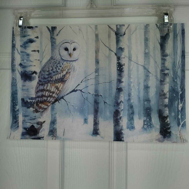 Snow Owl in Tree
