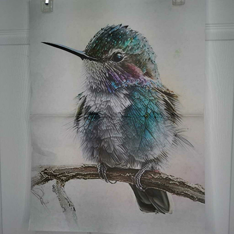 Baby Hummingbird on Branch