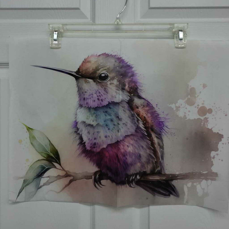 Hummingbird Baby