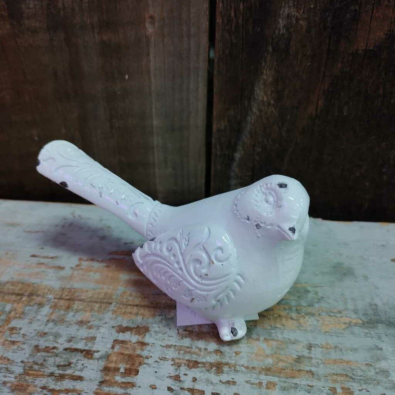 White Cloud Bird