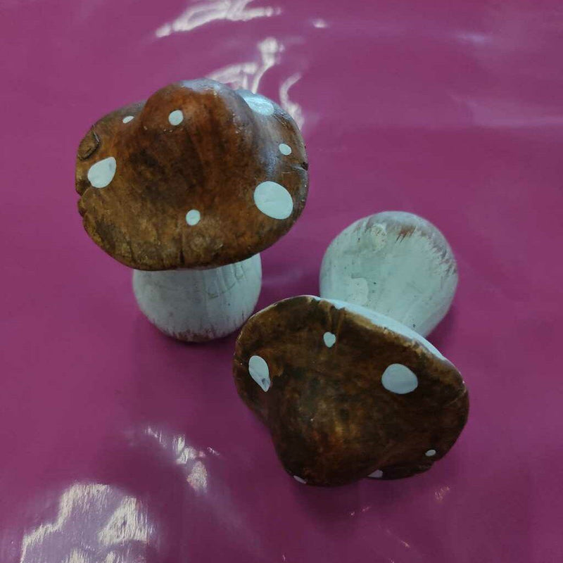 Small Brown-Capped Mushroom