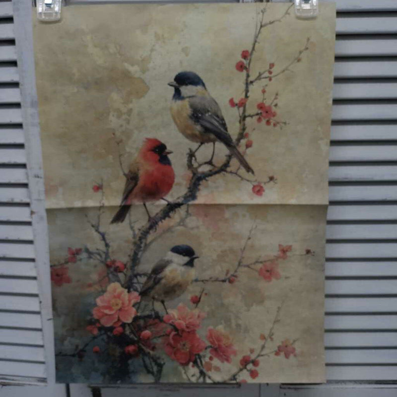 Charming Birds