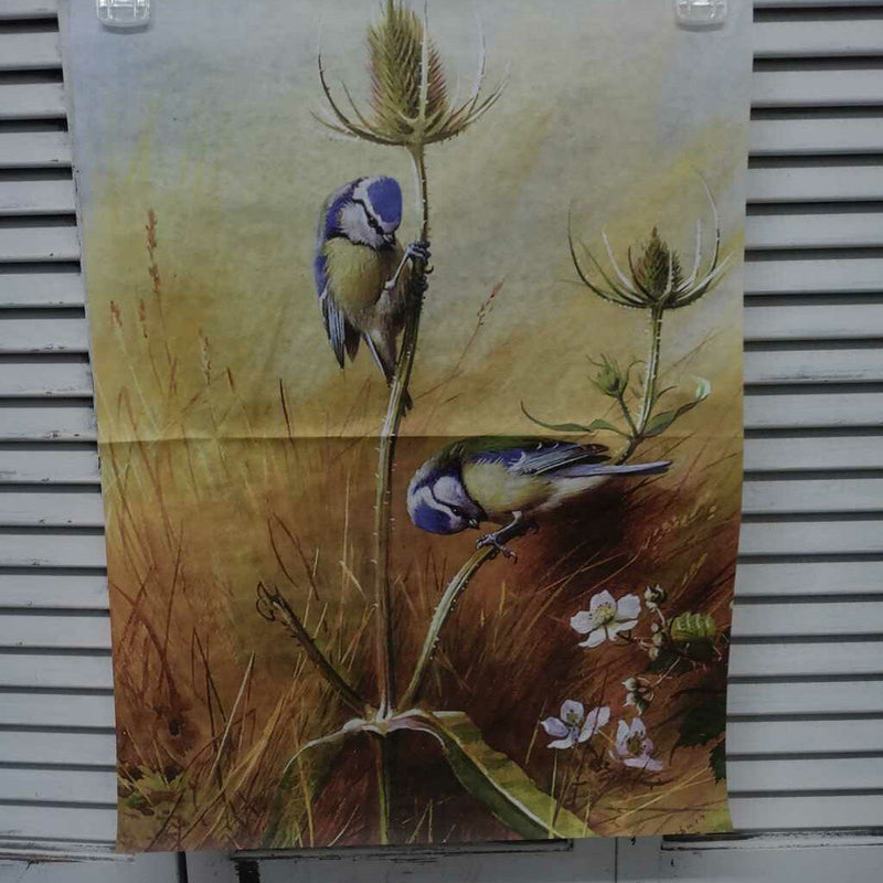 Beautiful Bluebirds Watercolor