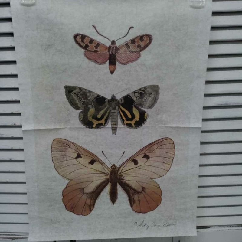 Butterfly Botanical