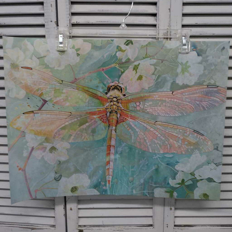Dragonfly Coral & Green