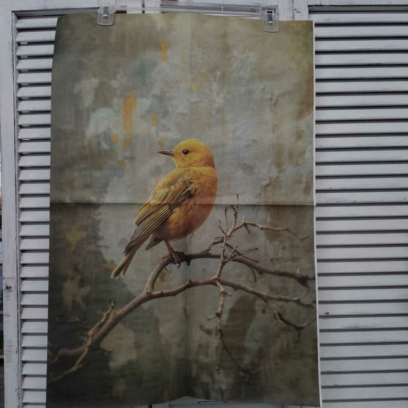 Yellow Songbird