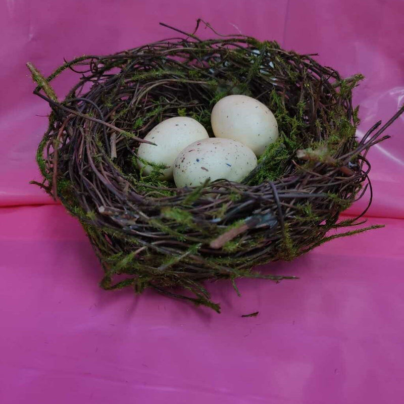Bird Nest 6"