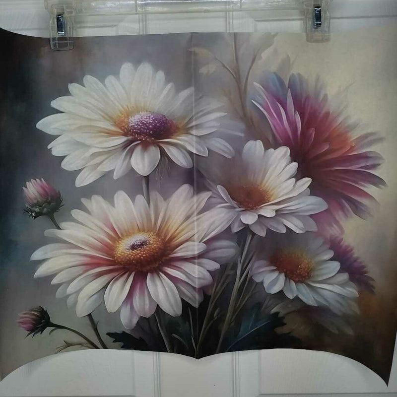 Dreamy Daisies