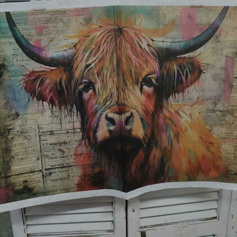 Highland Cow Portrait