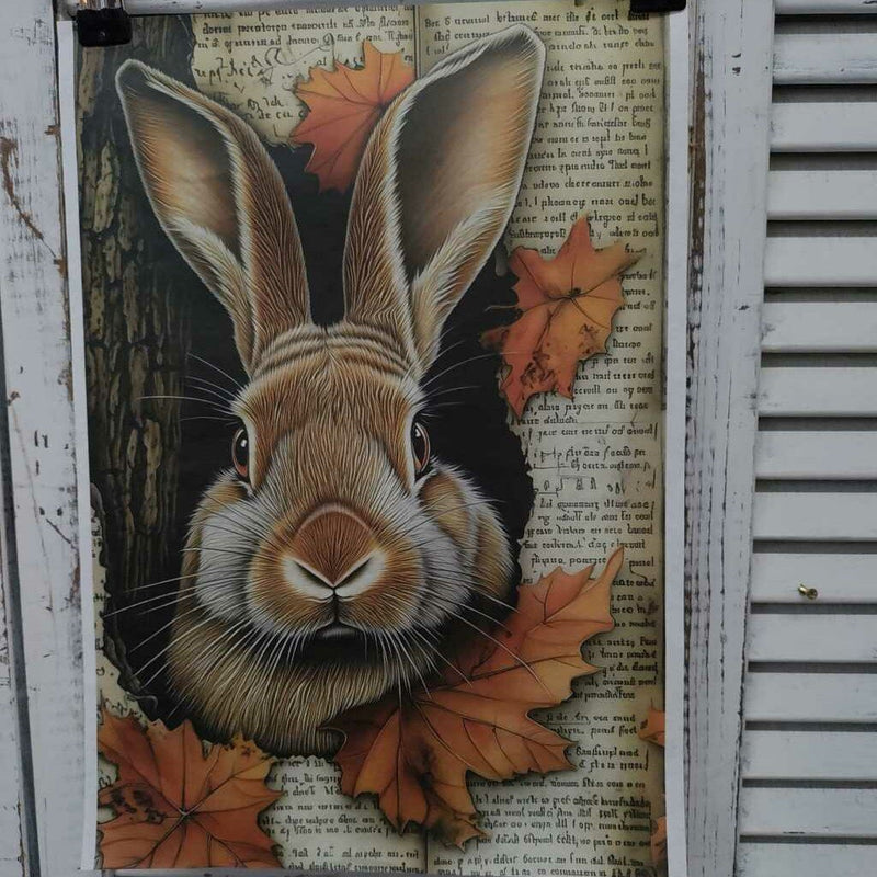 Peeking Rabbit