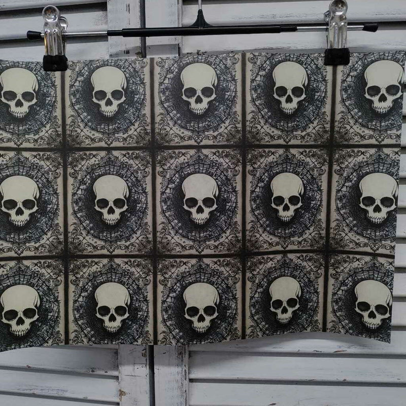 Skulls & Spider Webs