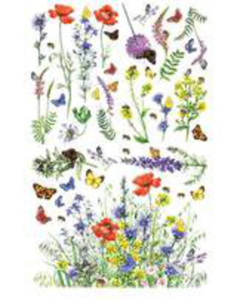 Wildflowers & Butterflies