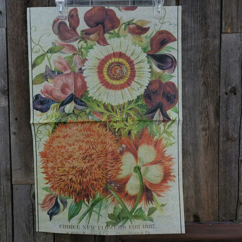 Sunny Florals