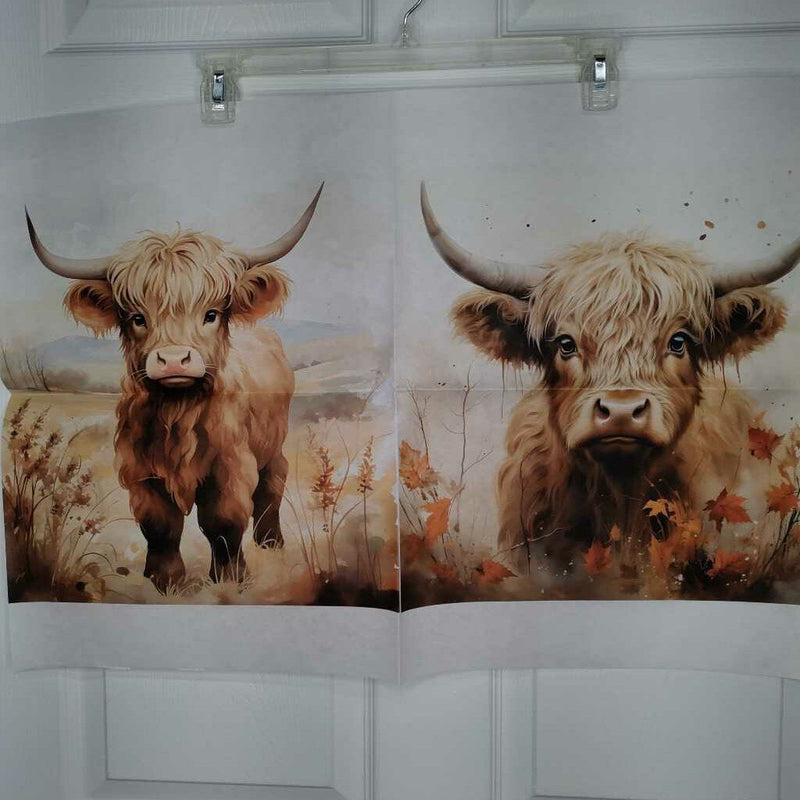 A Highland Cow Design Collection 5